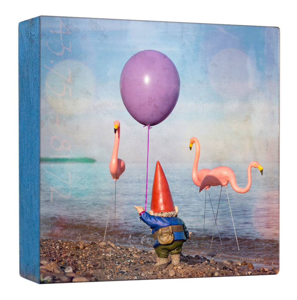 Flamingoes