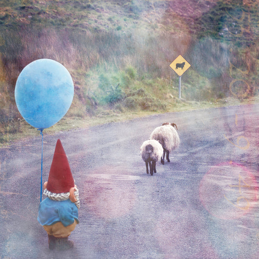 Sheep Crossing