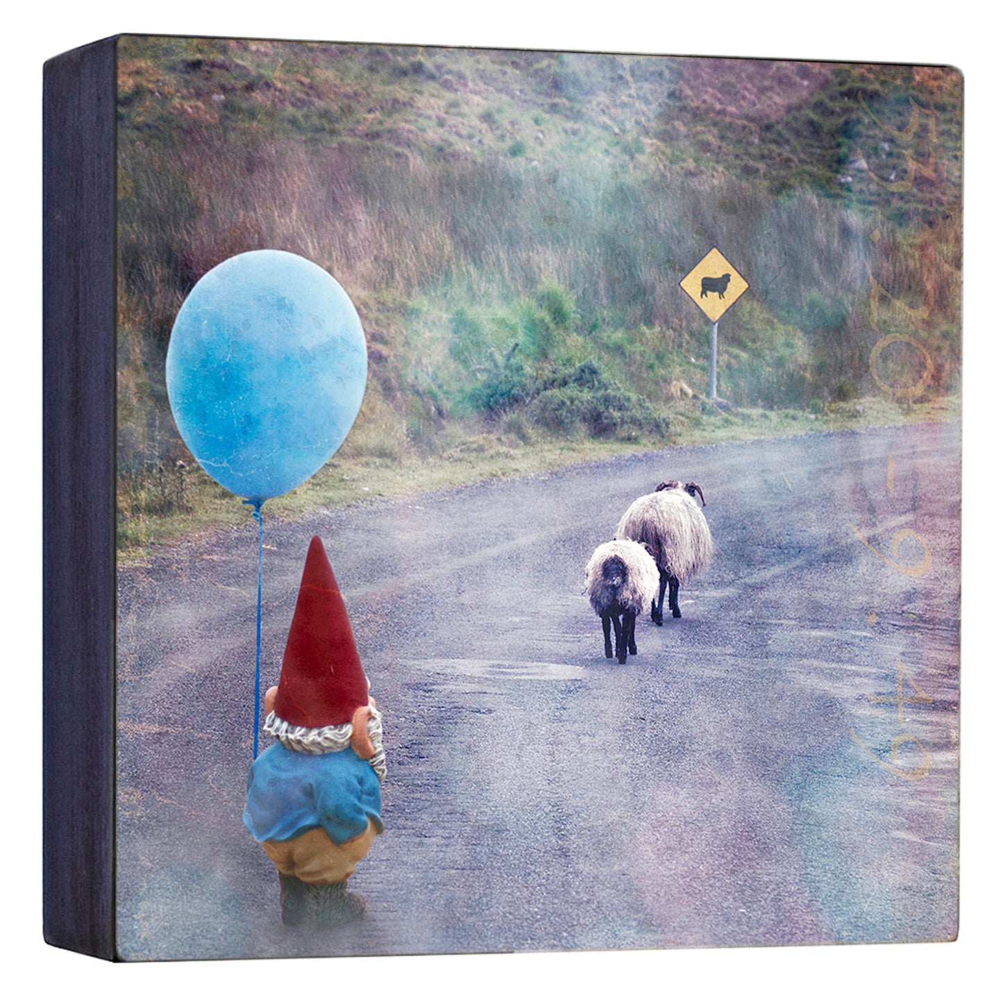 Sheep Crossing