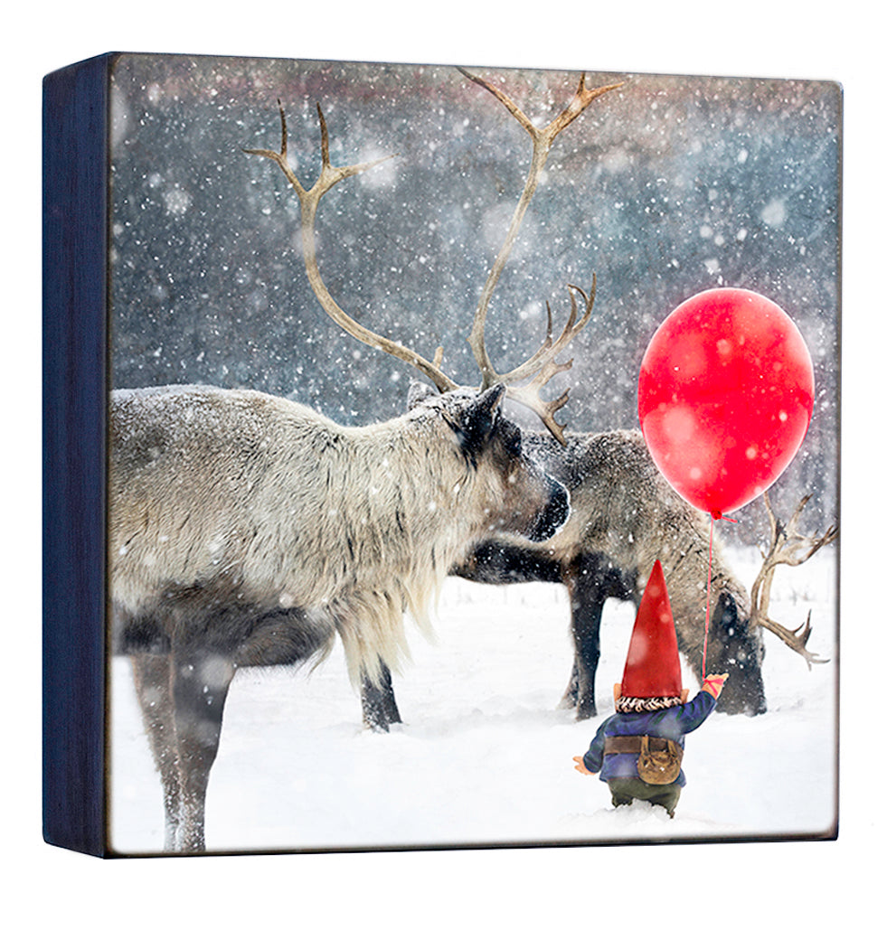 The North Pole