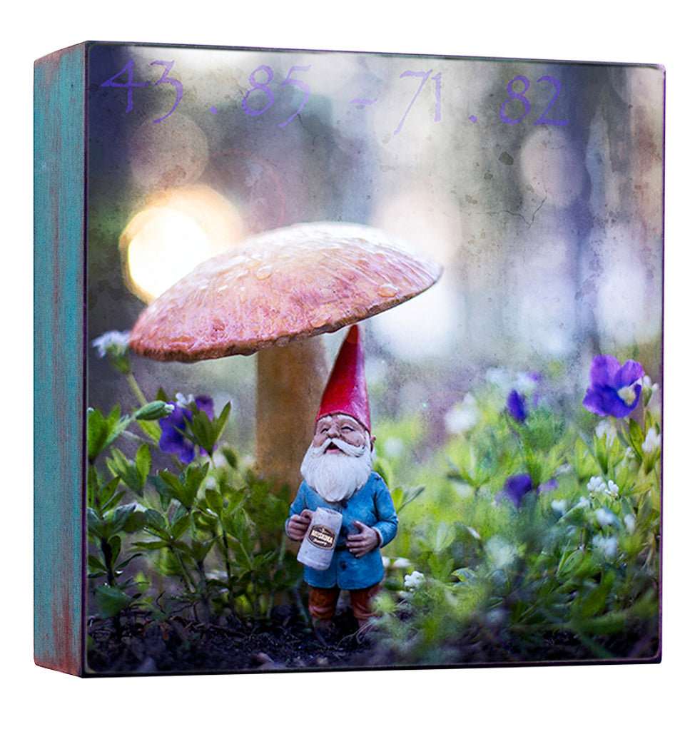 Toadstools & Beer