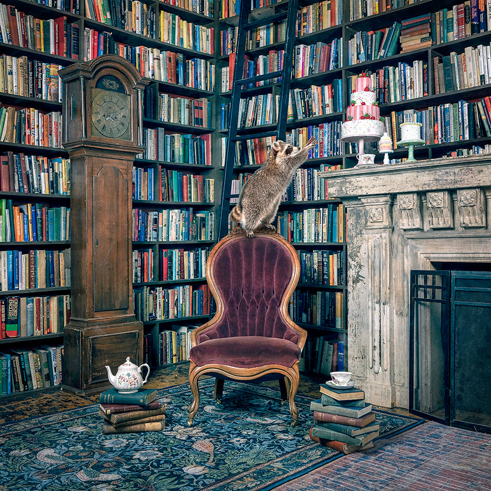 A Sweet Read