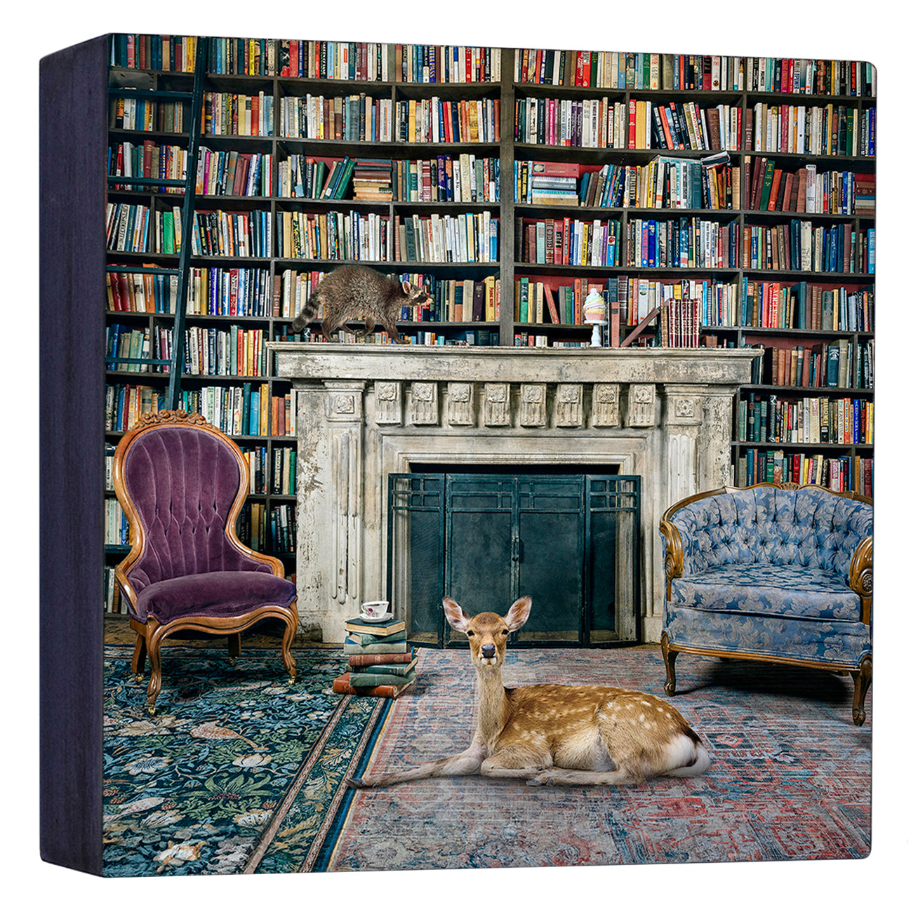 Life between Pages