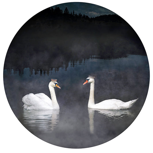 Midnight Rendezvous Round 14"