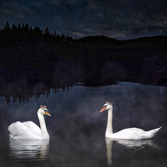 Midnight Rendezvous